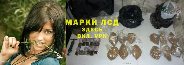 амф Алексин